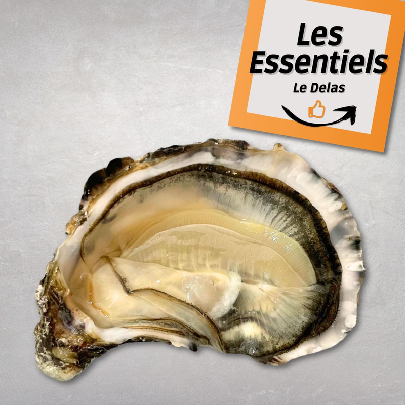 Huîtres Fines de Claire (Marennes-Oléron) N°3x48