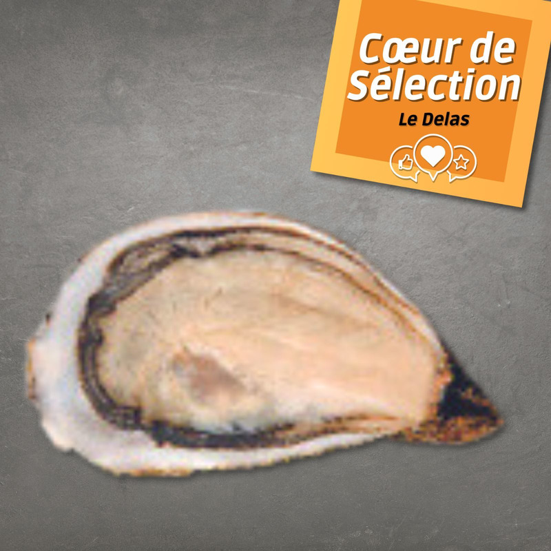 Huîtres Spéciales La Réserve (Marennes-Oléron) N°3 x48