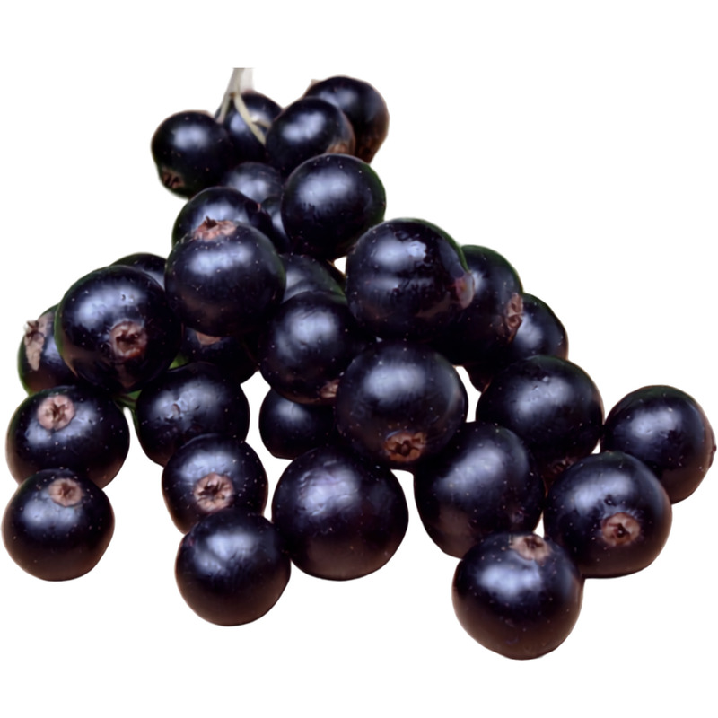 ❆ Blackcurrants bag 1kg