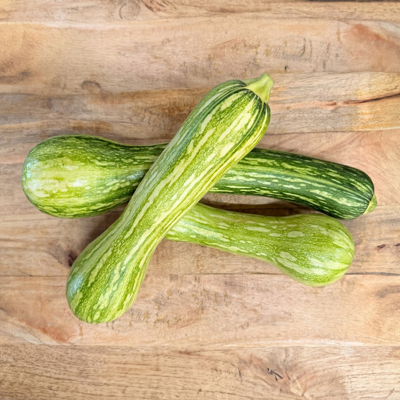 Nice long squash medium ⚖