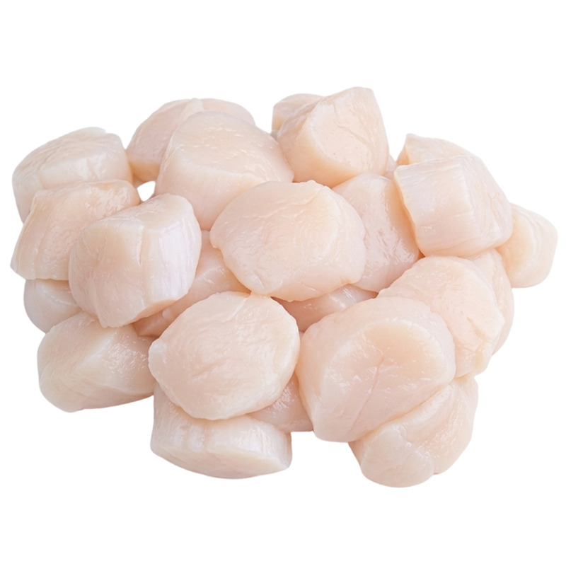 ❆ Raw Pecten maximus scallops on coral, 15/25 bag 800g