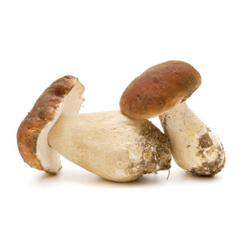 ❆ Whole porcini mushrooms 3/5 1kg