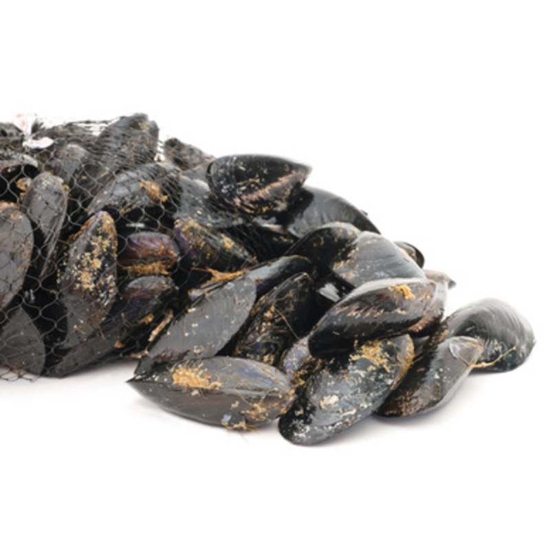 Bouchot mussels ±5kg ⚖