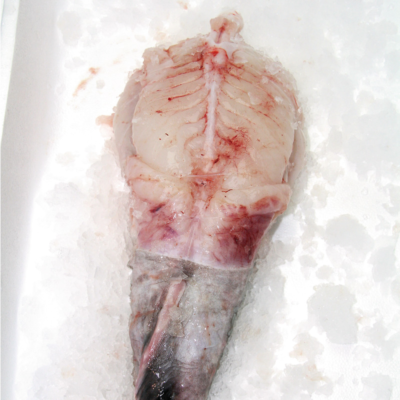 Monkfish fillet
