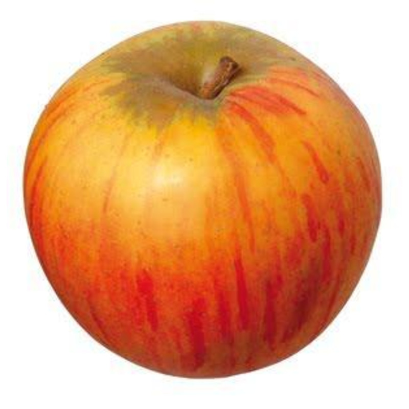 Reinette apple
