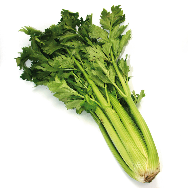 Celery ⚖