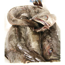 Fished hake 2/4kg ⚖