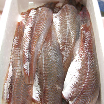 Coalfish fillet ⚖