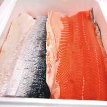 Norwegian salmon fillet ⚖