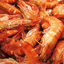 Cooked shrimps caliber 30 / 40 ⚖