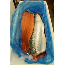 Scottish salmon fillet - pre-rigor ⚖