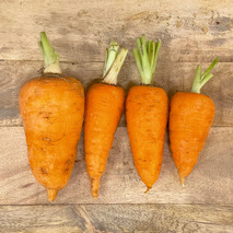 Carotte Chantenay ⚖