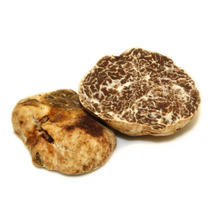 Fresh Alba white truffle (Tuber Magnatum Pico) ⚖