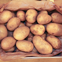 Pomme de terre nouvelle ⚖