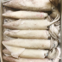 ❆ Squid of California 2.27kg