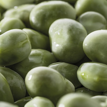❆ Extra fine broad beans 1kg