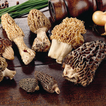 ❆ Morel mushroom 3/6cm bag 1kg