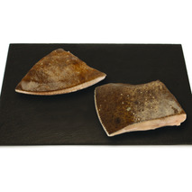 ❆ Turbot steak with skin 170/230 IQF 6kg