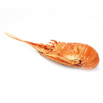 ❆ Caribbean lobster calibre 630/680g
