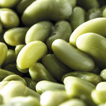 ❆ Flageolets verts fins Minute 2,5kg