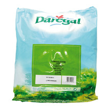 ❆ French chives 1kg