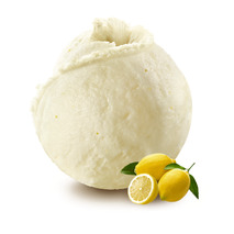 ❆ Sorbet citron 2,5L