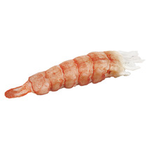 ❆ Raw shelled Canadian lobster tail x25 100-140g