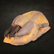 Guinea fowl PAC Label Rouge ±1.3kg