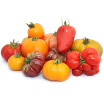Ancient tomato varieties assortment ⚖