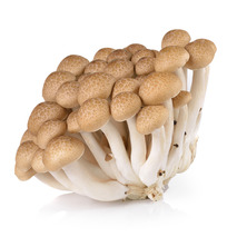 Brown Shimeji mushroom 150g
