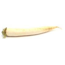 Radis blanc long