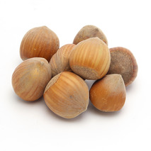 Whole hazelnut in shell France origin ⚖