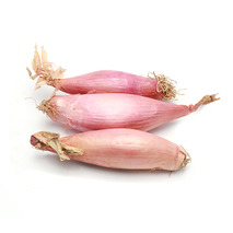 Long french Shallot 24/40 catgorie 1 ⚖