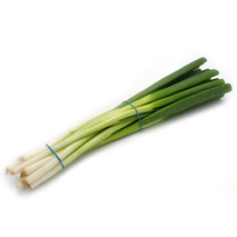 Spring onions bunch ±200g