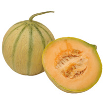 Melon import