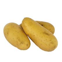 Firm-fleshed Charlotte-type potatoes box 12.5 kg ⚖