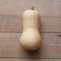 Butternut squash ⚖