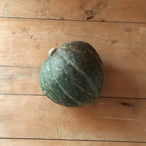 Kabocha green pumpkin ⚖