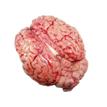 Veal brain atm.packed x8 ±2kg