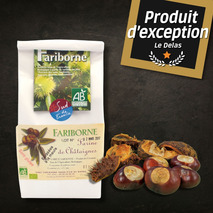 Organic stoneground french chesnut flour bag 400g