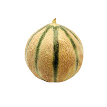Melon import