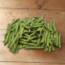 Green peas Merveille de Kelvedon parcel 3kg ⚖