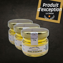 Miel d'acacia français 60x22g