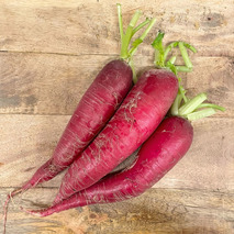 Ostergruss radish ⚖