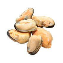 ❆ Moule chair décortiquée 300/500 Mytilus Edulis 1kg