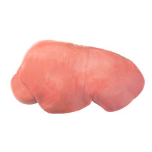 Foie de veau blanc s/ vide ±5kg ⚖