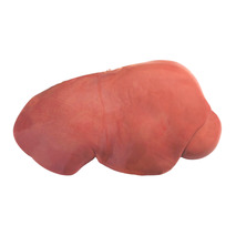 Foie de veau rosé ±5kg ⚖