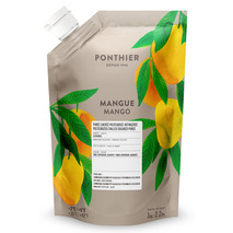 Purée de mangue Alphonso frais doypack 1kg