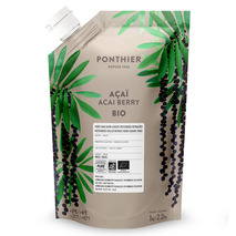 Purée d'açaï frais doypack 1kg