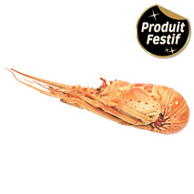 ❆ Langouste cuite origine Caraïbes calibre 800-1200g